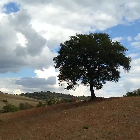Poggio Moretto