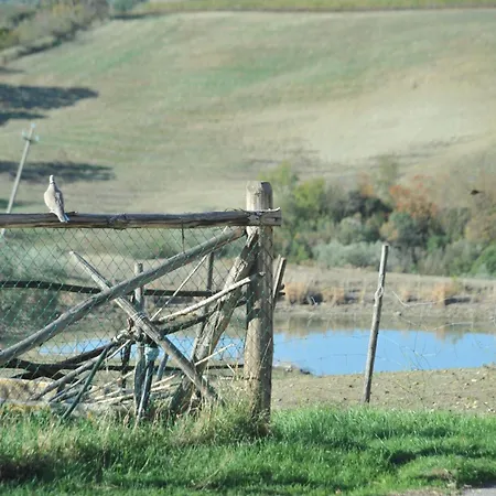 Poggio Moretto * 曼恰诺