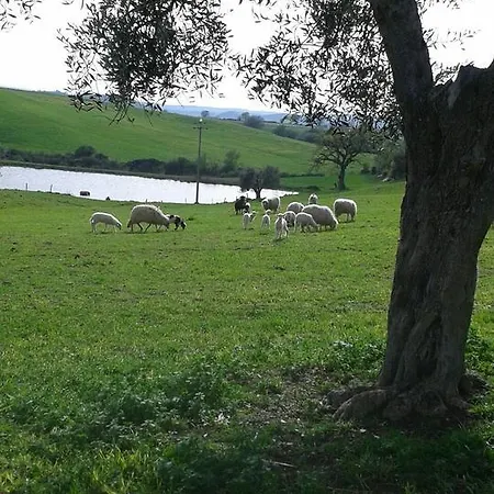 Poggio Moretto 农家乐 曼恰诺